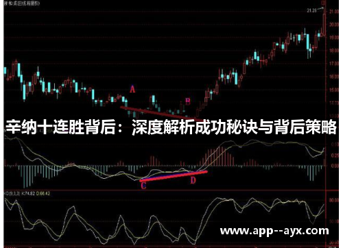 辛纳十连胜背后：深度解析成功秘诀与背后策略