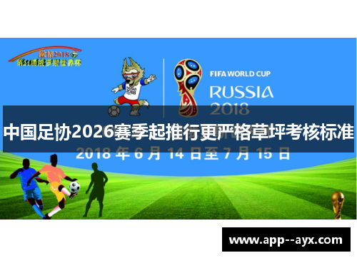 中国足协2026赛季起推行更严格草坪考核标准