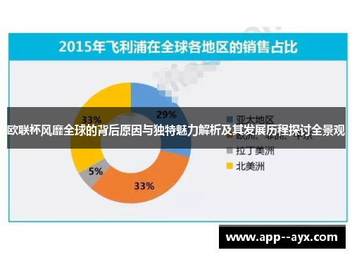欧联杯风靡全球的背后原因与独特魅力解析及其发展历程探讨全景观